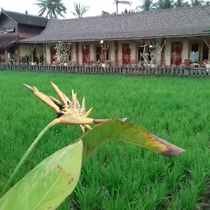 Rice Padi Artha Убуд